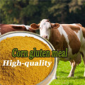 Proteína de glúten de milho amarelo dourado 60%